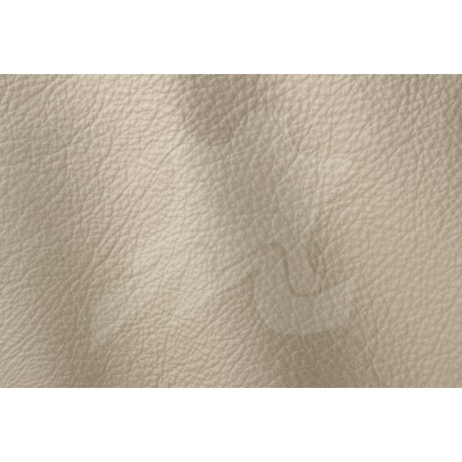 Aligo Group фото